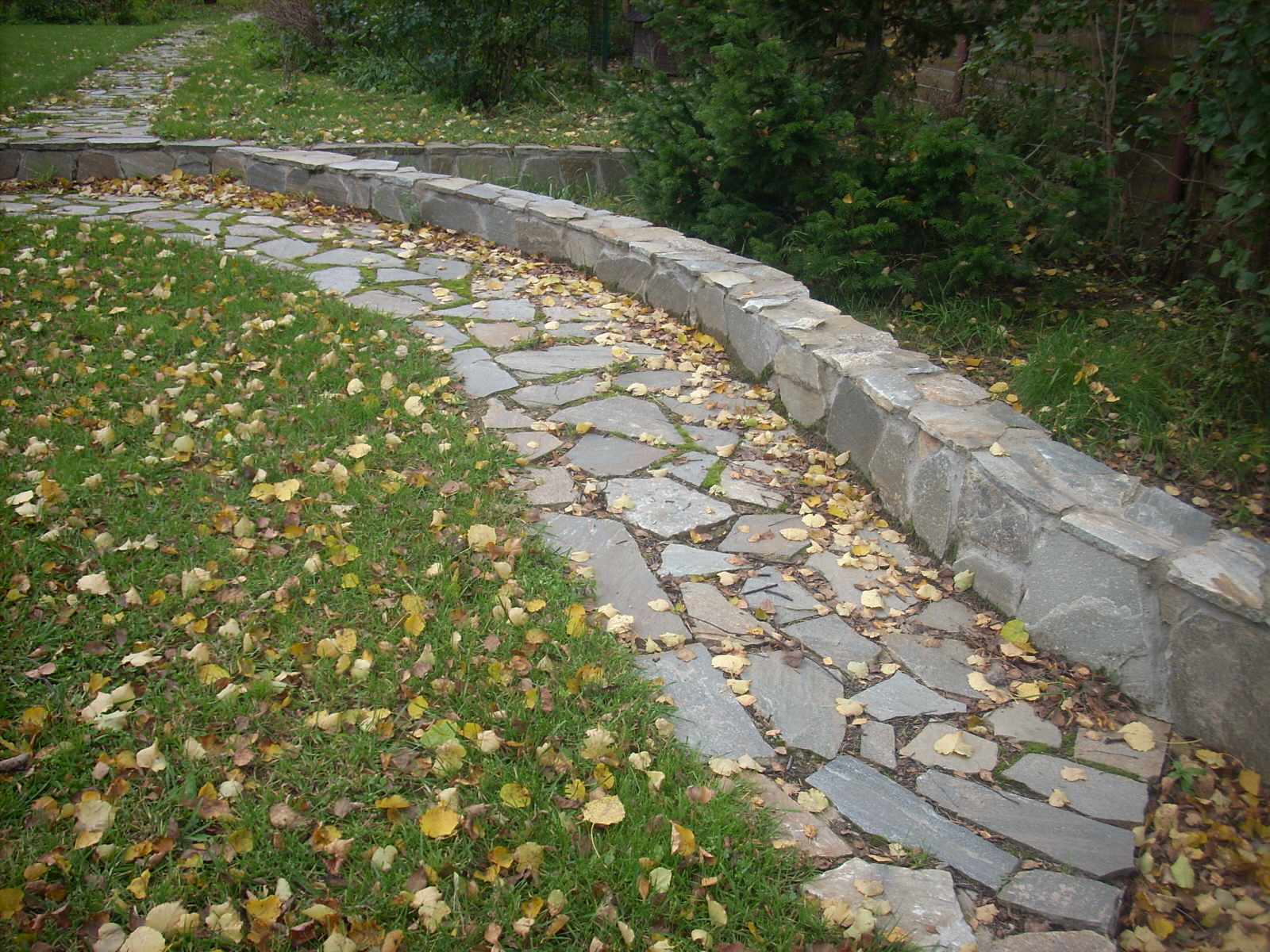 Правдино Ландшафт