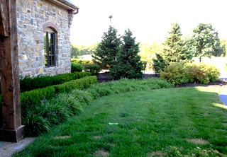 layered landscape planting - traditional - landscape