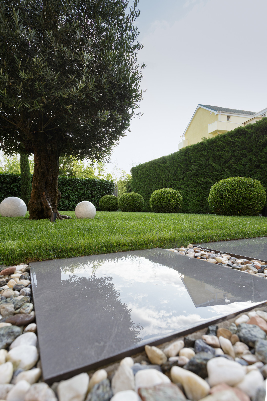 Розмарин. Ландшафтный Дизайн