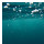 Last commented by HU-649291758