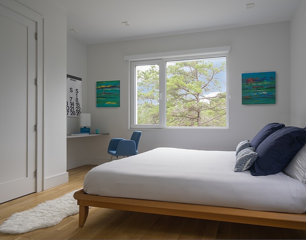 This is an example of a mid-sized modern master bedroom in Boston with white walls and light hardwood floors.