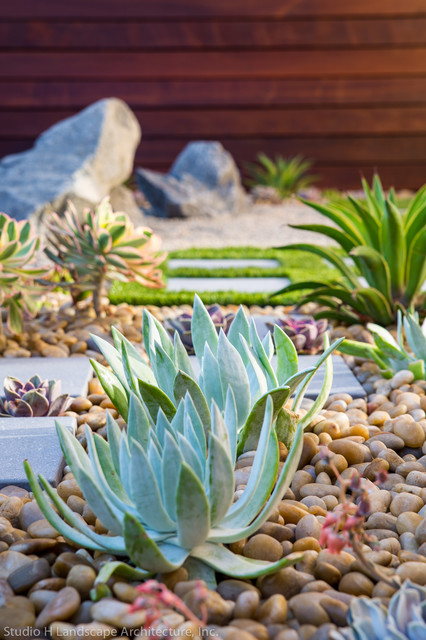 Modern Zen Garden Desert Succulent Planting - Contemporary - Landscape -  Orange County - by Studio H Landscape Architecture | Houzz