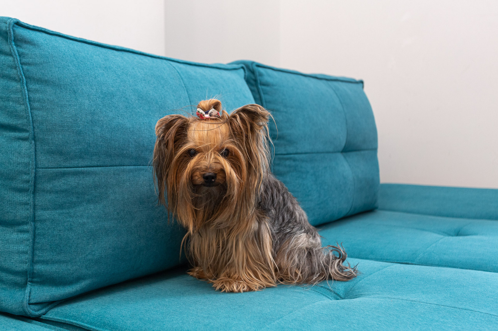 Белая кухня в стиле современная классика