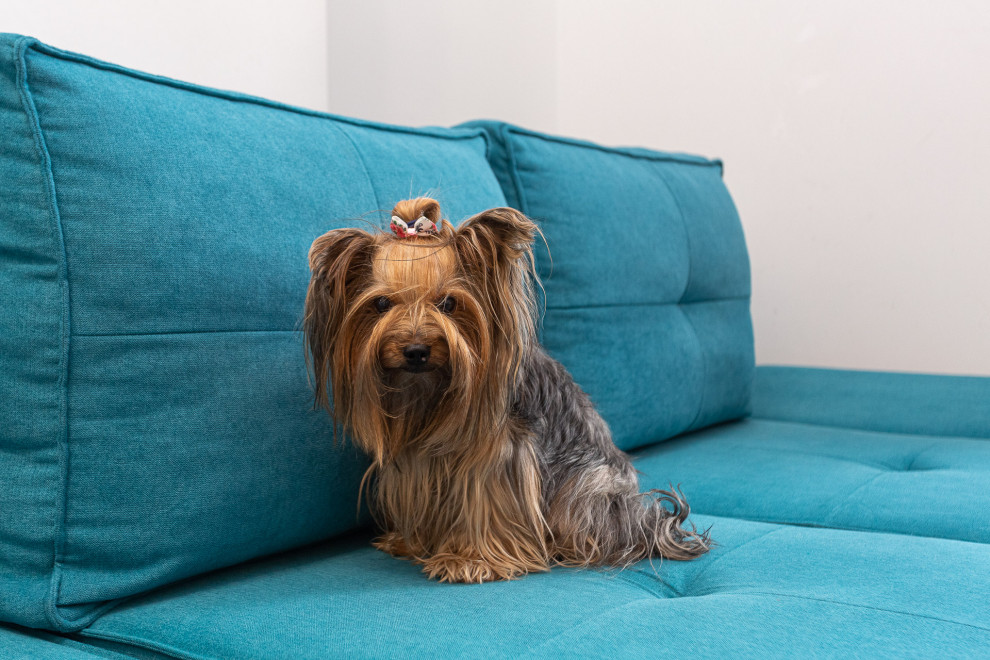 Белая кухня в стиле современная классика