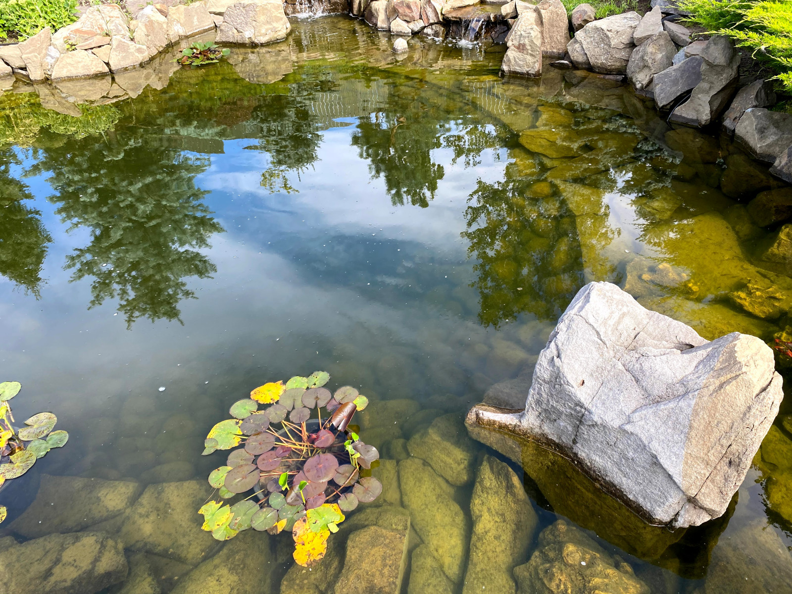Курортный район Лен. область