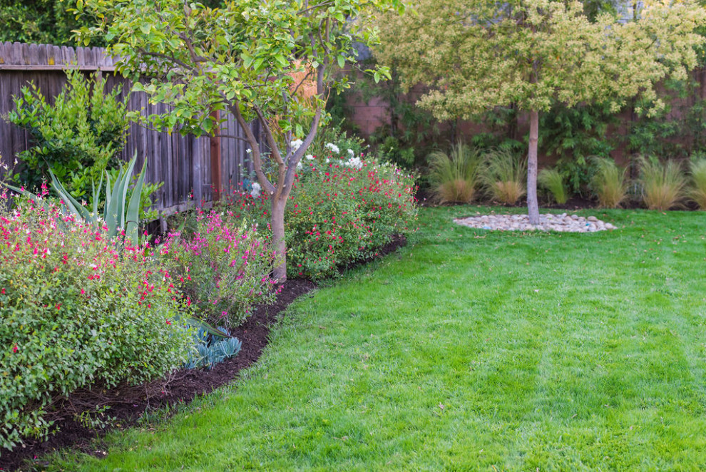 Immagine di un giardino formale minimal esposto in pieno sole di medie dimensioni e dietro casa in primavera con pedane e recinzione in legno