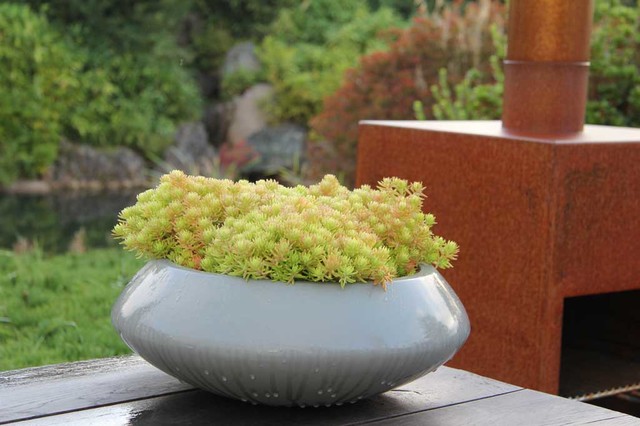 Herbst im Garten von Ehren garden