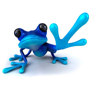 Blue Frog Studio