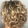 webuser_856835729
