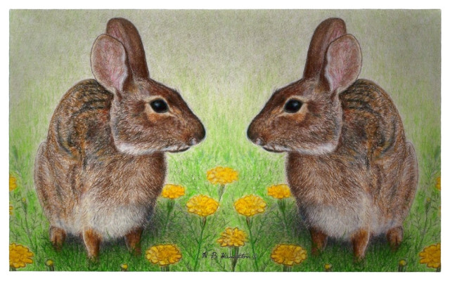 Rabbits Door Mat, 30 Inches X 50 Inches - Contemporary - Doormats - by ...