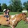 kathie_roberts