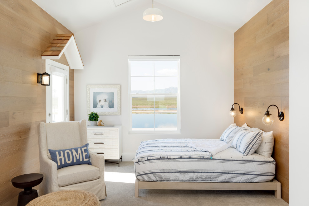 Design ideas for a beach style kids' room in Salt Lake City with white walls, carpet, grey floor, vaulted and wood walls.