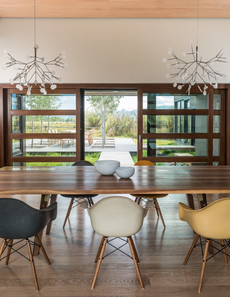 Inspiration for a contemporary dining room remodel in Jackson