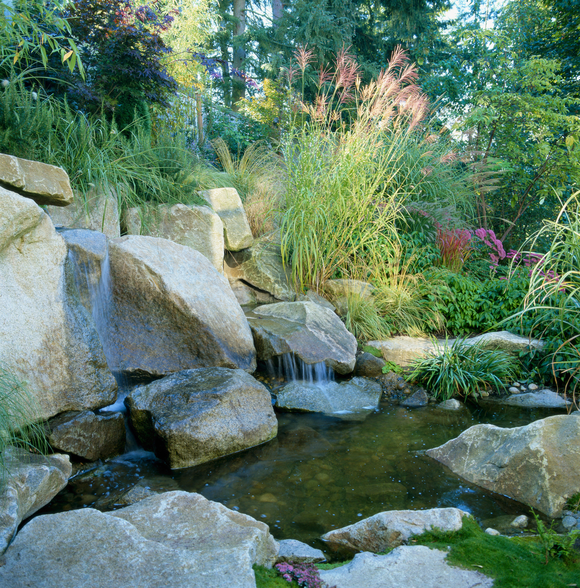 Suburban estate - naturalistic pool and stream