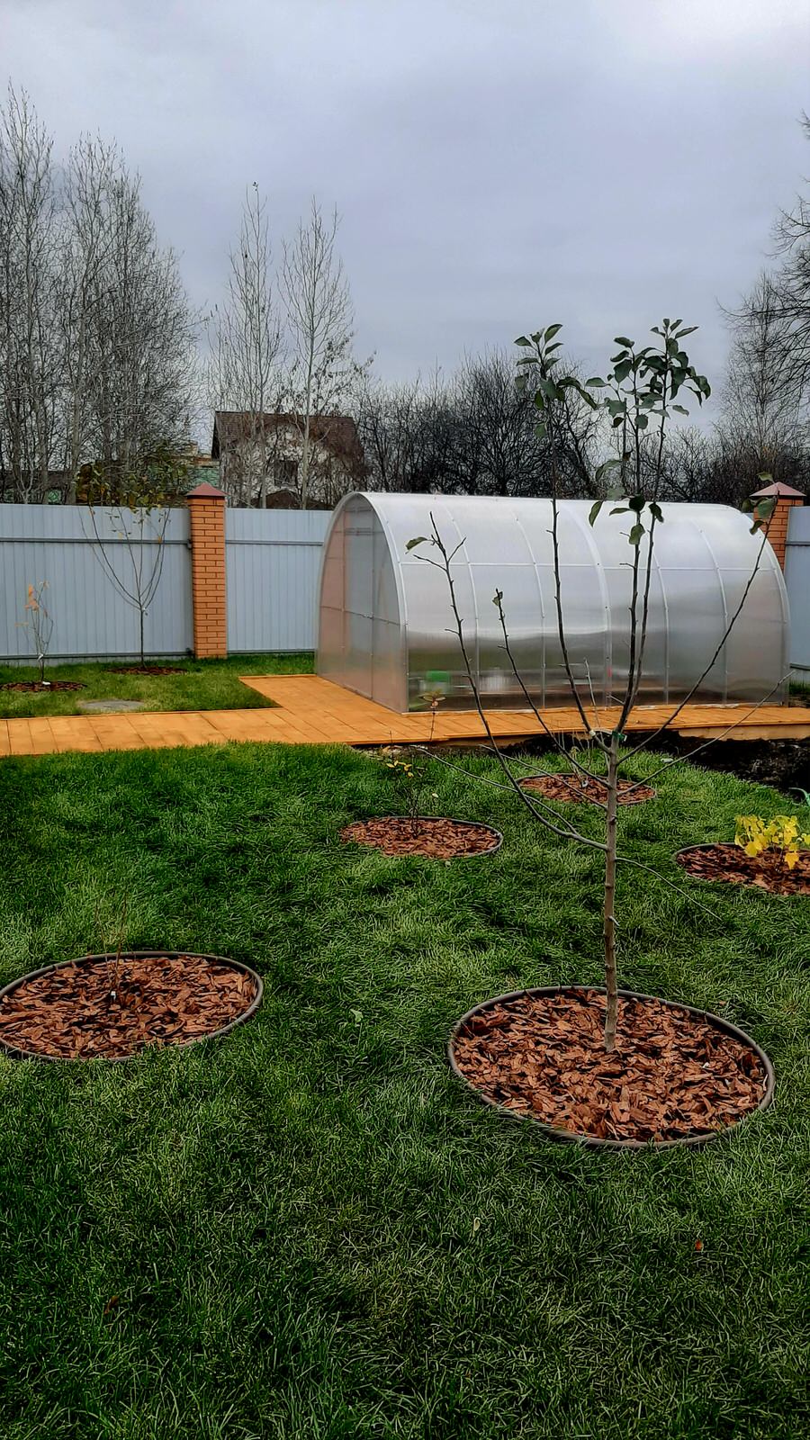 Кулаково, 2023