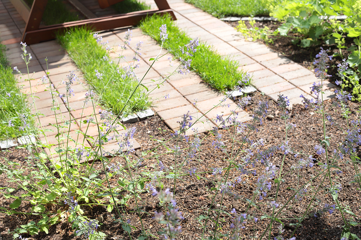 Солнечный берег