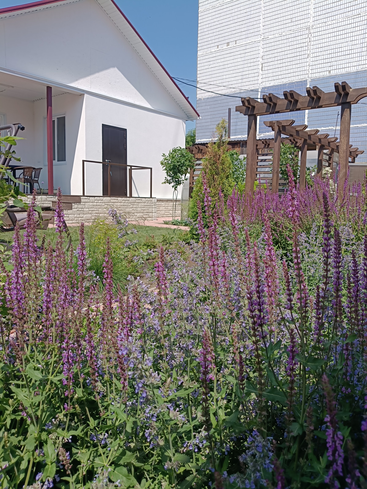 Современный цветник