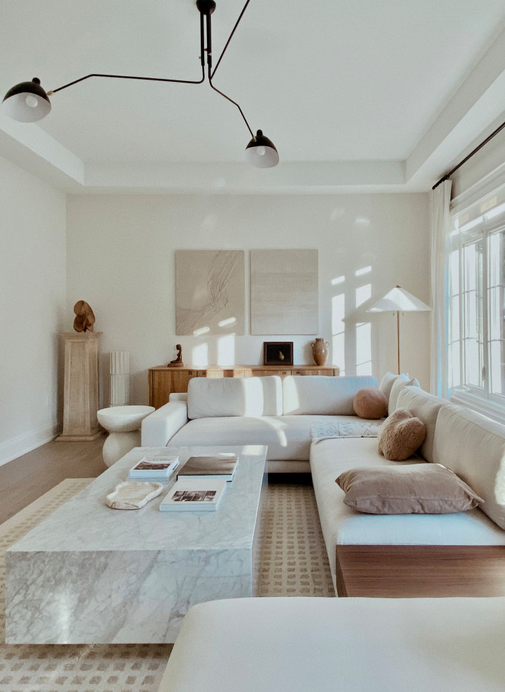 Scandinavian living room in Toronto.
