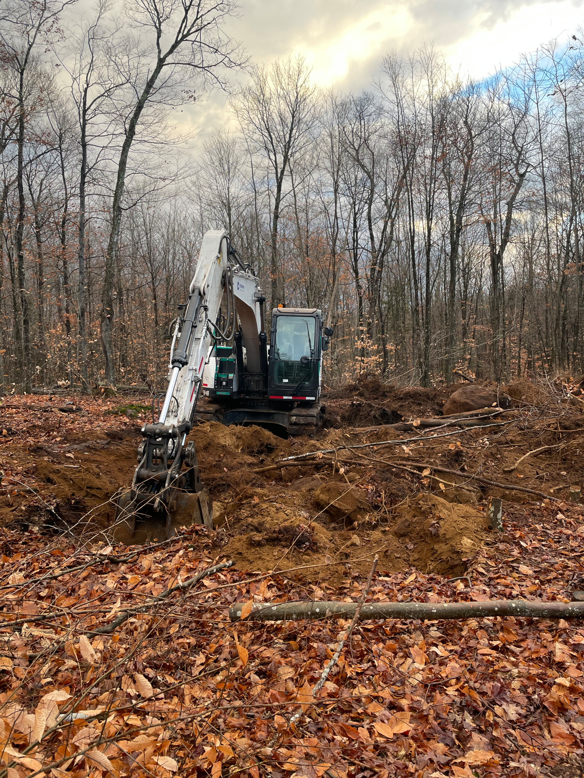 Land Clearing
