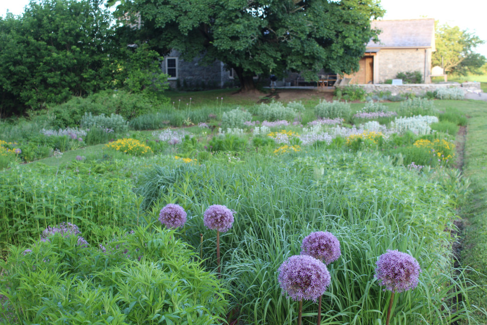 Esempio di un ampio giardino xeriscape country esposto in pieno sole davanti casa in primavera con un ingresso o sentiero