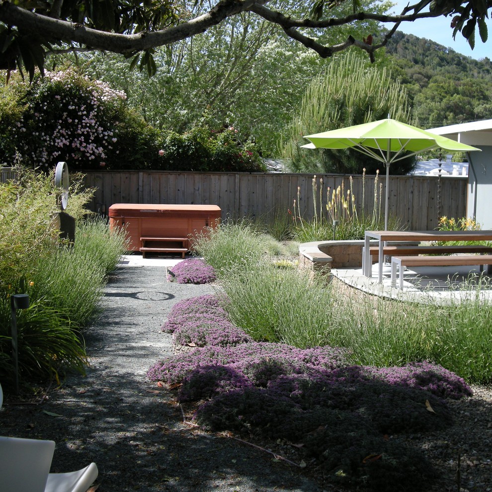 Mid-sized modern backyard garden in San Francisco with gravel.
