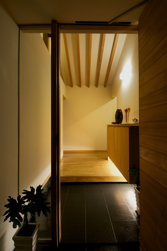 This is an example of a mid-sized modern entry hall in Other with white walls, medium hardwood floors, a single front door, a medium wood front door and brown floor.