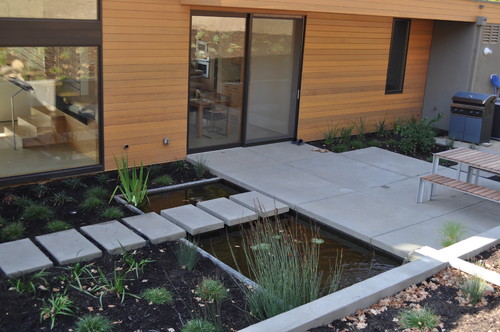 Modern Landscape
