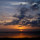 webuser_781991083