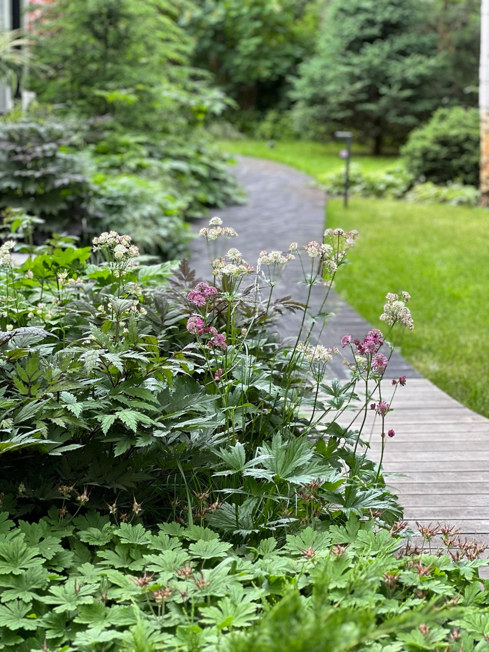 Английская история