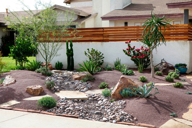 Frontyard Landscape Ideas - Southwestern - Landscape - San Diego - by Singing Gardens