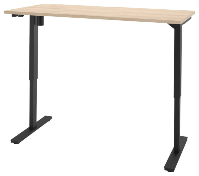 30"X60" Electric H Adjustable Table, Northern Maple