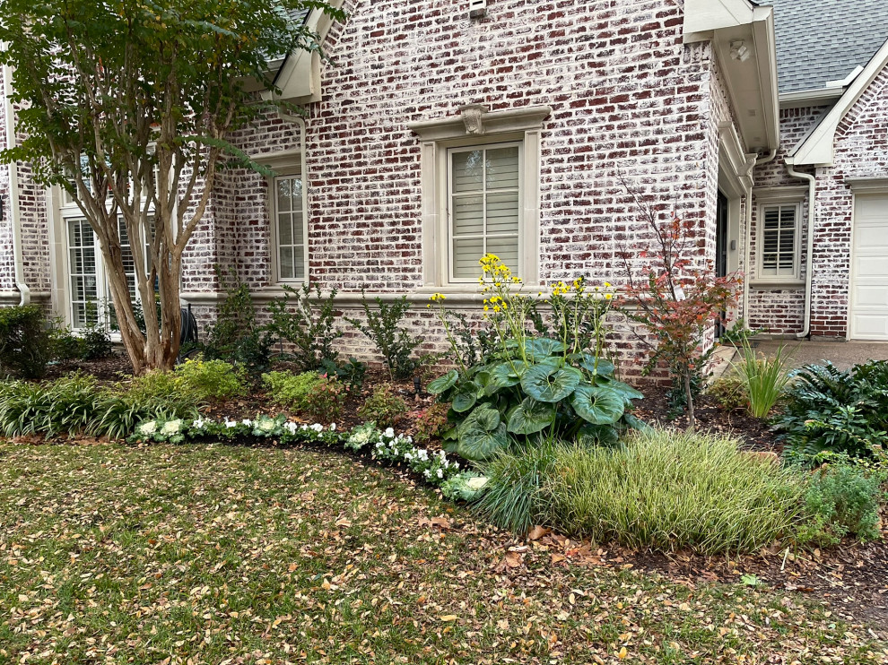Oak Lawn Residential Landscape