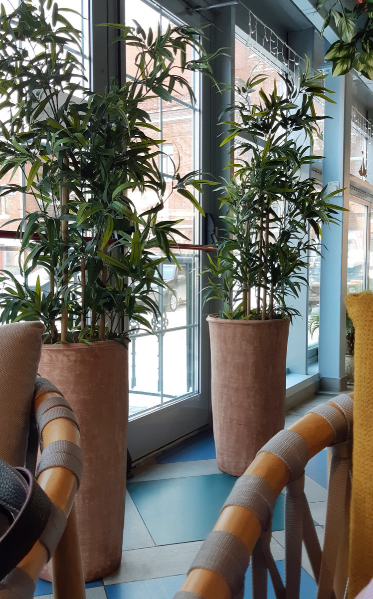 Горшки, амфора и кашпо для ресторана Olivo