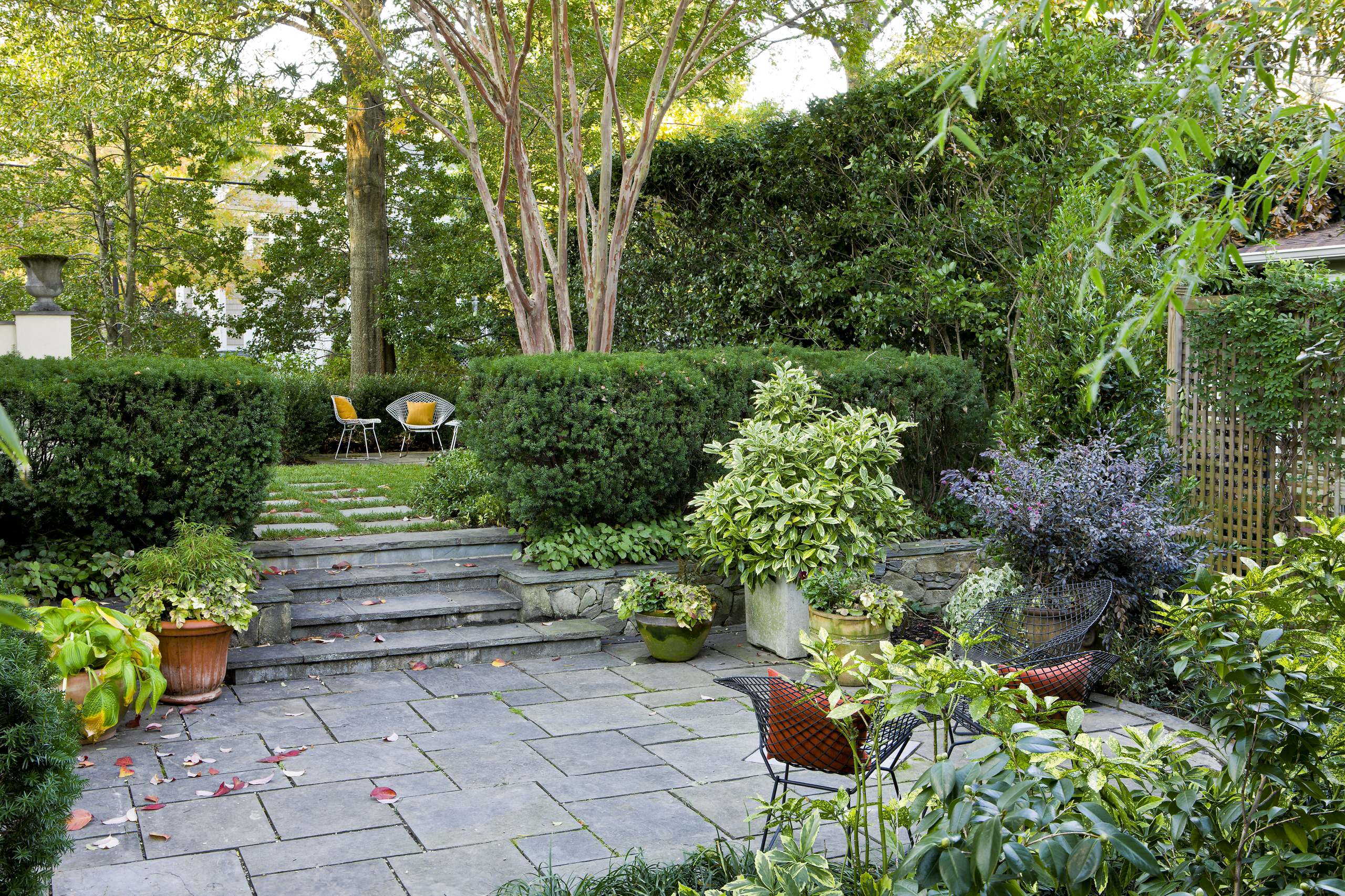 9 Inspiring Gardens Gain Privacy and Screening With Plants, image size:2560x1706