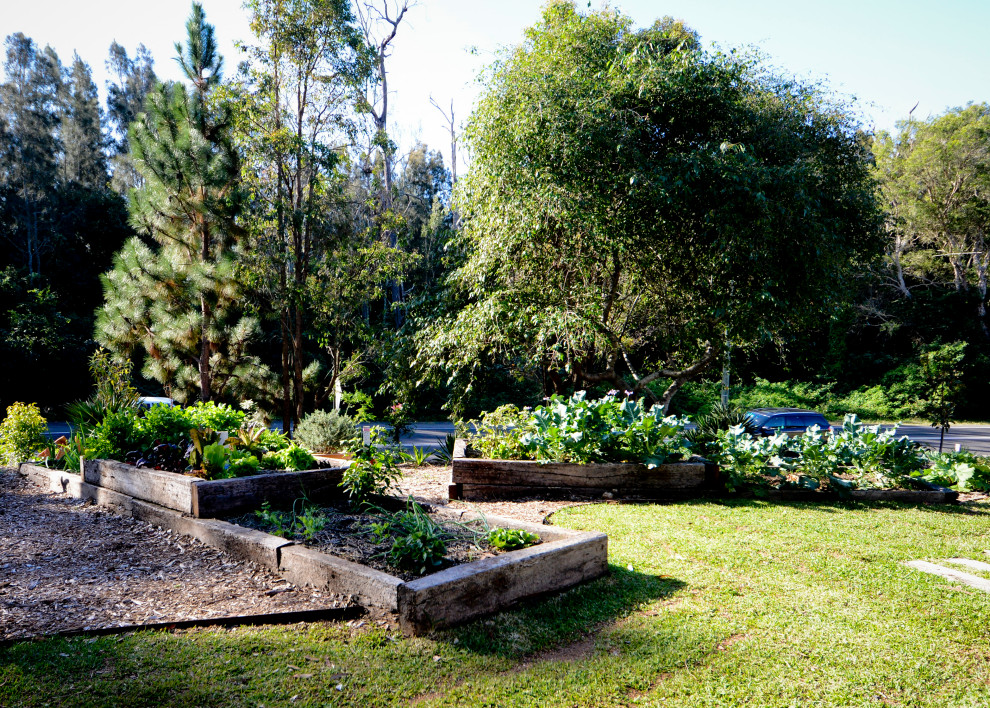 Diseño de jardín contemporáneo de tamaño medio en patio delantero con jardín francés, huerto y exposición total al sol
