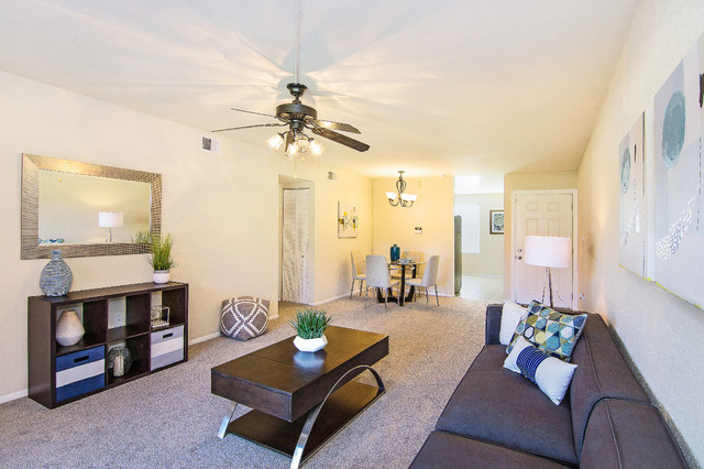 Gainesville contemporary