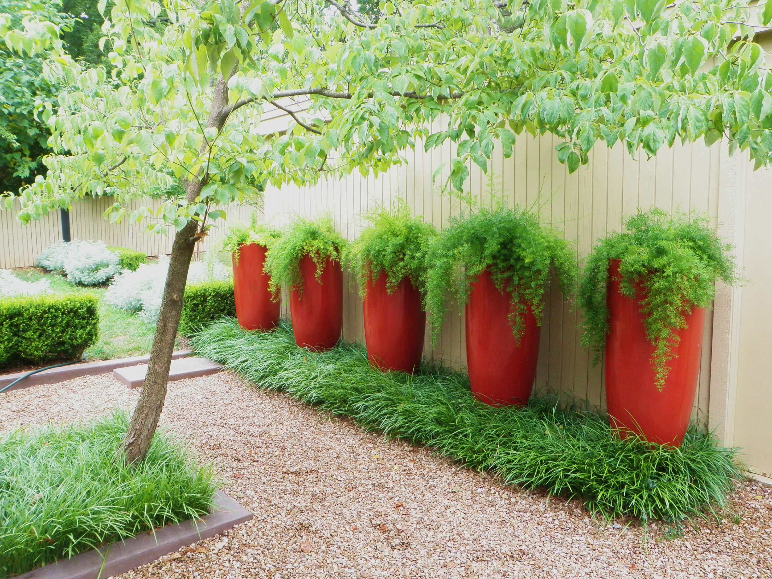 Pot Culture: Potted Gardening Basics | Houzz AU