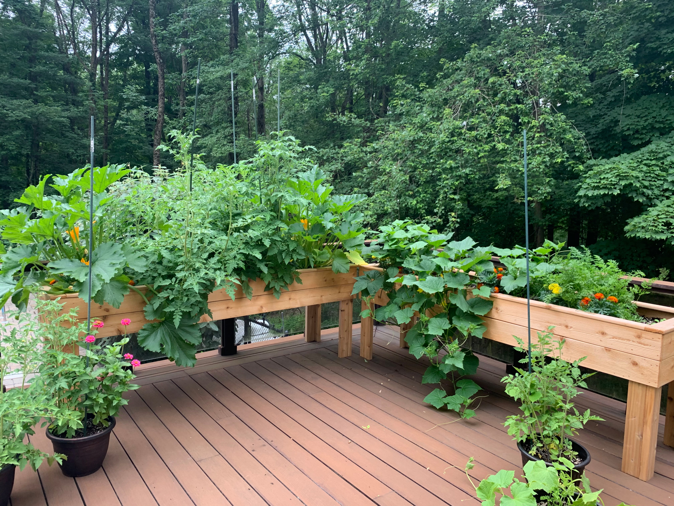 custom garden boxes