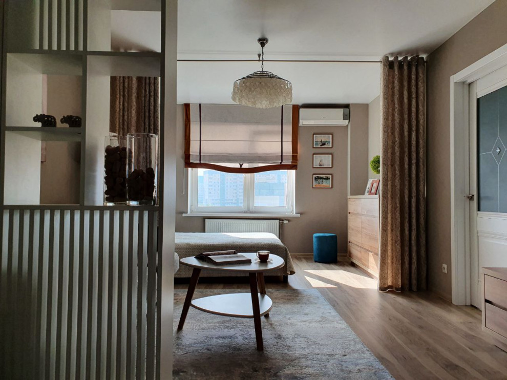 Переделка существующей гостиной-спальни-прихожей 23,26 м/кв