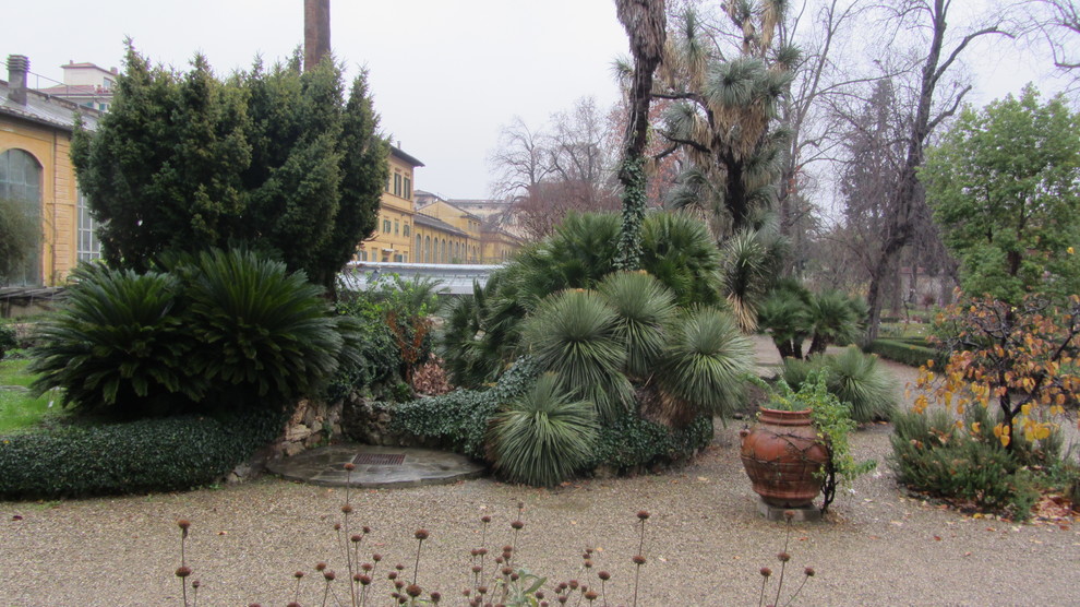 Городское озеленение