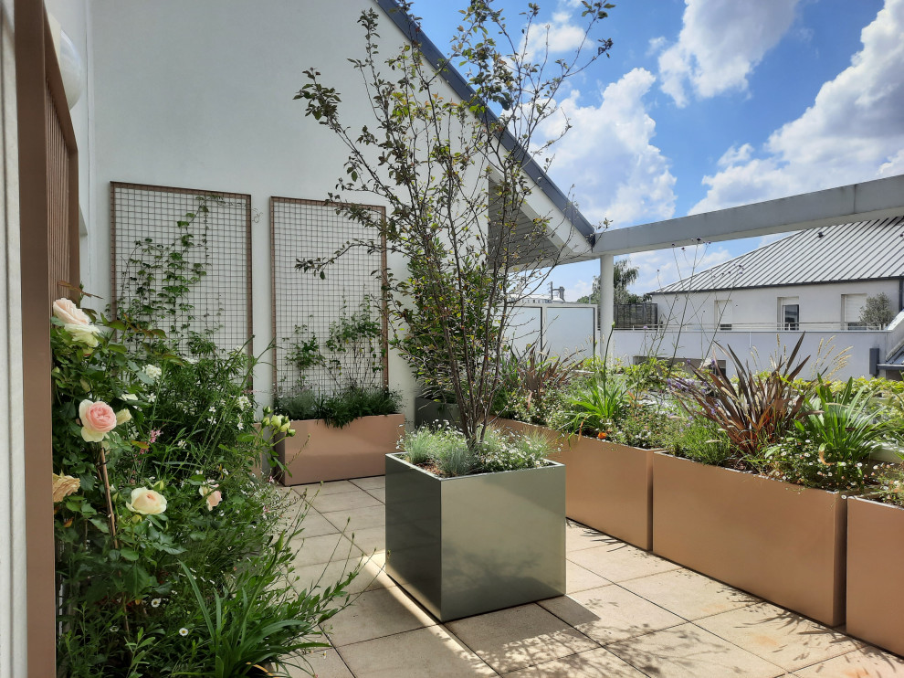 Идея дизайна: маленький двор на боковом дворе в современном стиле с растениями в контейнерах и покрытием из бетонных плит без защиты от солнца для на участке и в саду