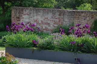 Staudengarten am Pfarrhaus Bad Hersfeld: Iris, Salbei und Geranium