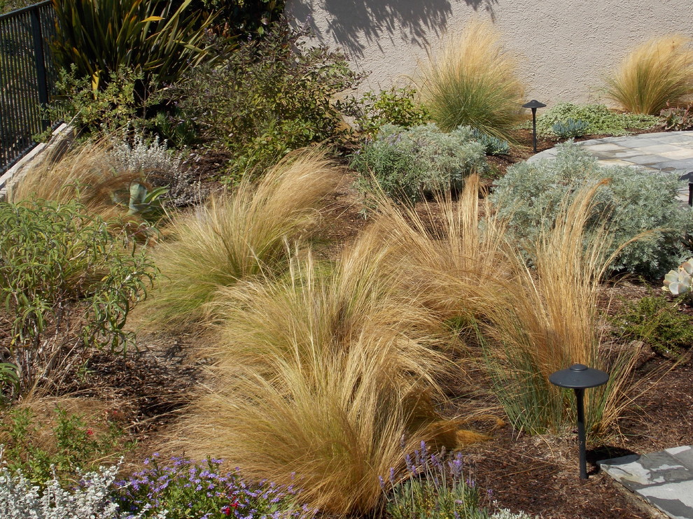 Inspiration for a coastal landscaping in Orange County.