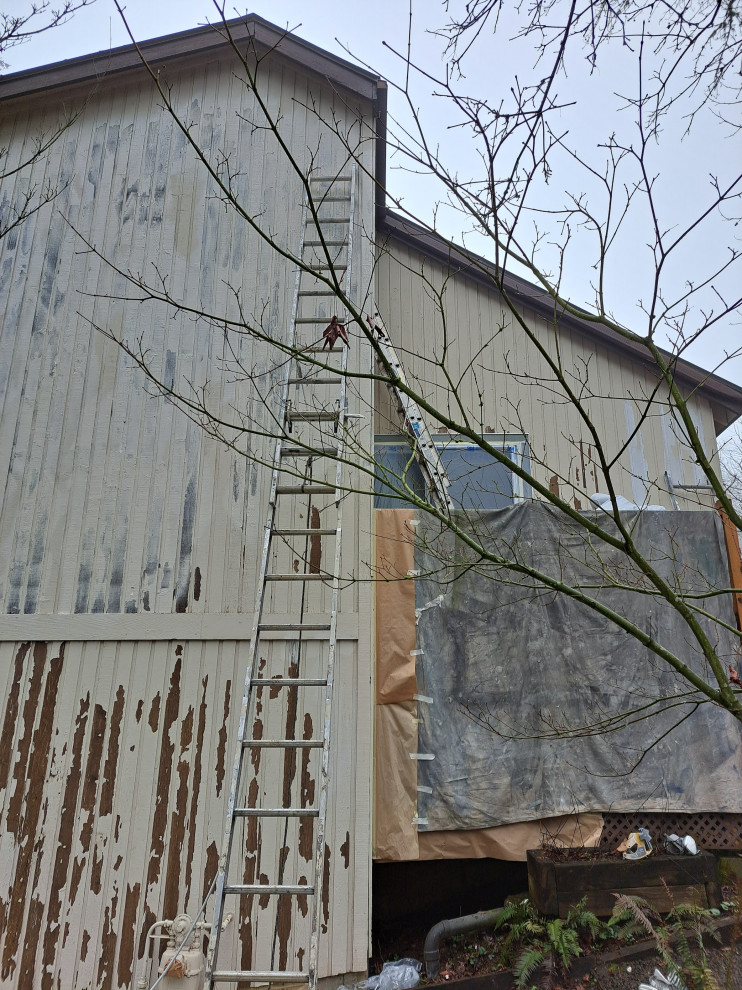 Exterior Painting (Scraping and priming)