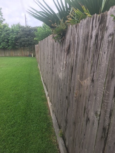 300' Wood Fence Upgrades