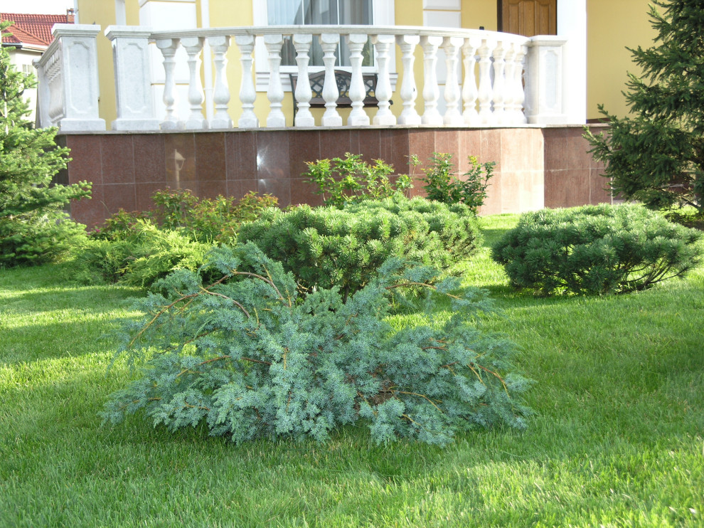 Архангельское Тюриковао