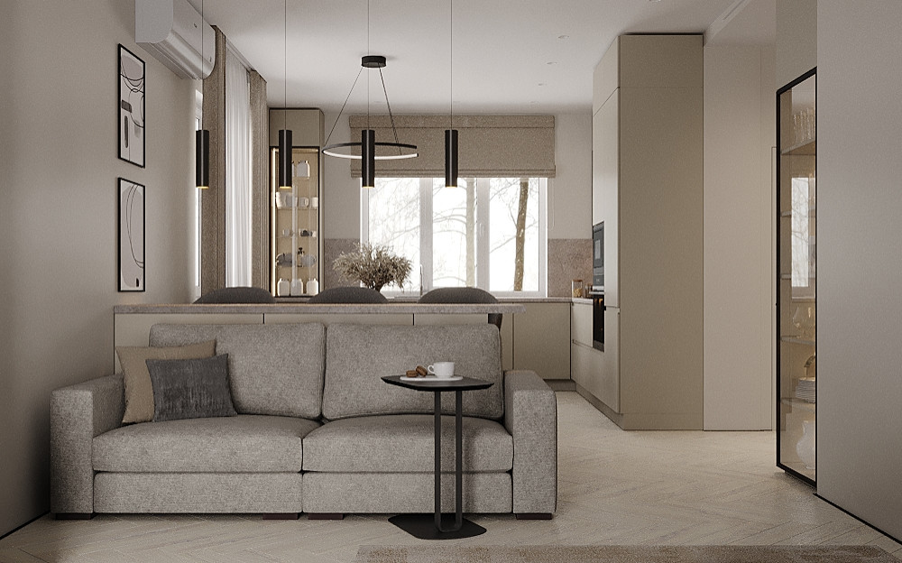 Кухня-гостиная