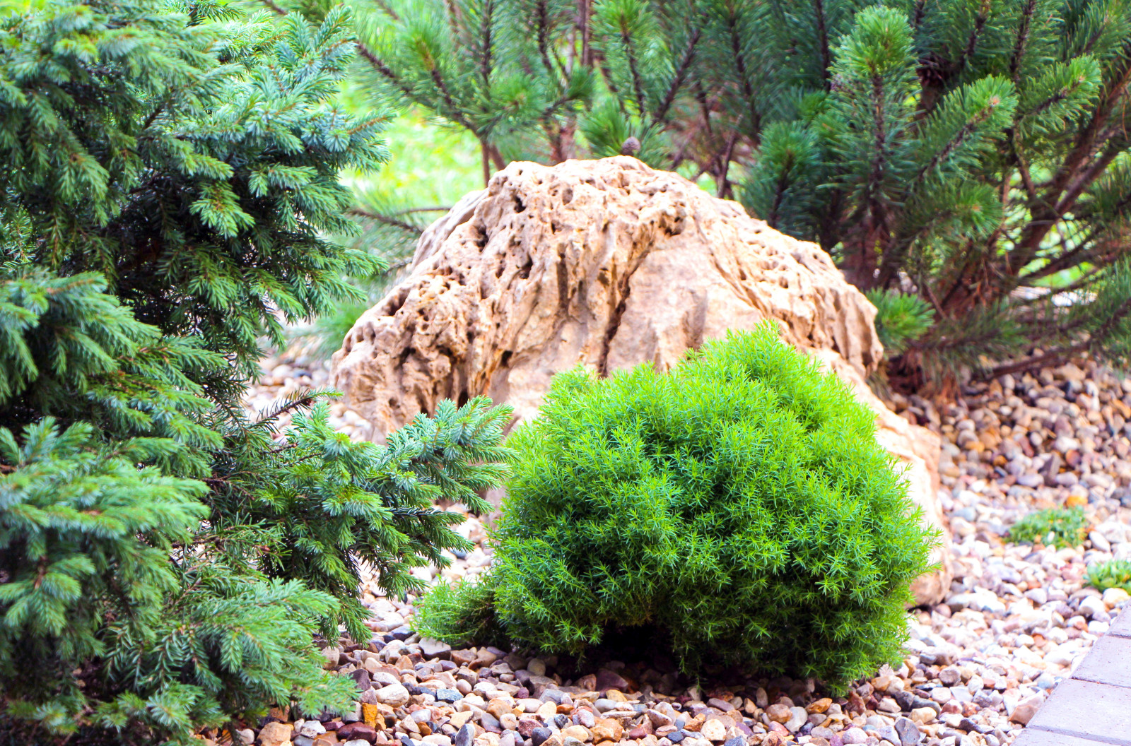 Новые Вешки, 2016