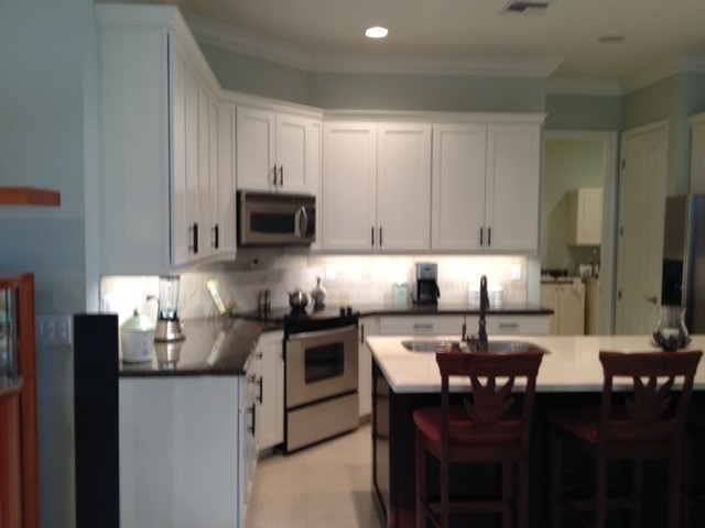 Linda's Kitchen Recolor Modern Contemporary Dover white Shaker style
