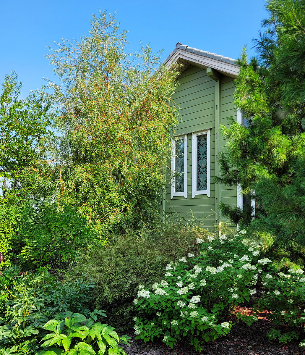 Полынный берег. Новые снимки